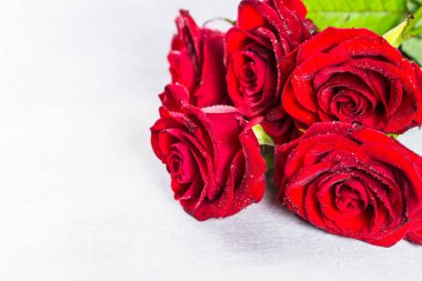 Kırmızı güller. Yaklaş..