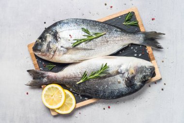 Mavi arka planda taze balık Dorado.