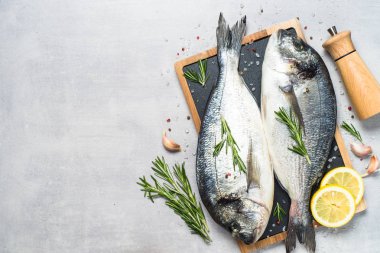 Mavi arka planda taze balık Dorado.