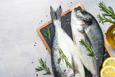 Mavi arka planda taze balık Dorado.