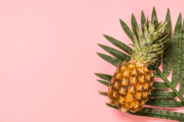 Yaz düz arka plan pembe üzerinde yatıyordu..