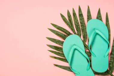 Yaz düz arka plan pembe üzerinde yatıyordu..