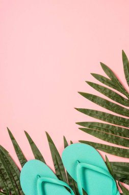 Yaz düz arka plan pembe üzerinde yatıyordu..