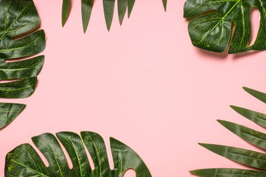 Pembe bir arka plan üzerinde tropikal yaprak.