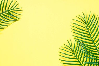 Sarı üst görünümde palmiye yaprakları.
