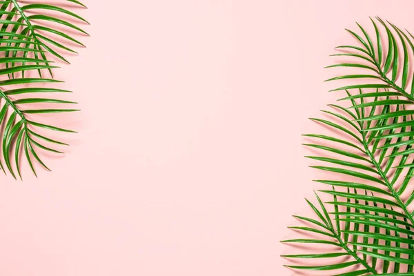 Тропічні листя на рожевому фоні . — стокове фото