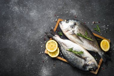 Siyah arka planda RAW Dorado balık.