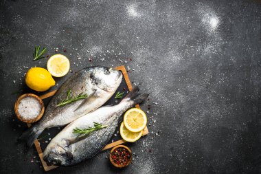 Siyah arka planda RAW Dorado balık.