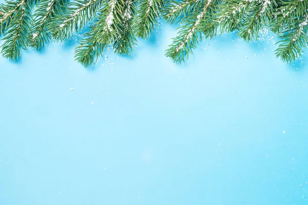 Χριστουγεννιάτικη δέντρο έλατο σε μπλε φόντο. — Φωτογραφία Αρχείου