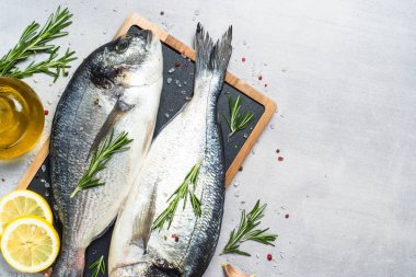 Mavi arka planda taze balık Dorado.