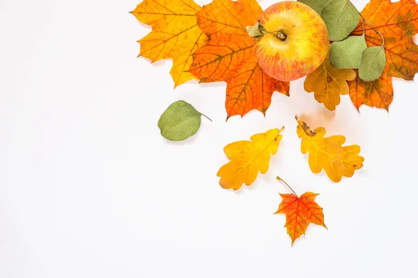 Otoño plano poner fondo con hojas y manzana en blanco . — Foto de Stock