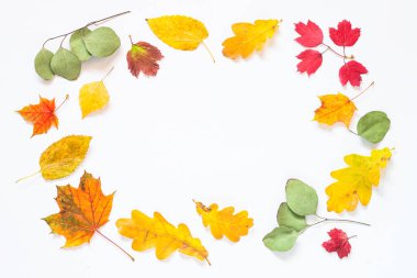 Sonbahar düzlüğü beyaz yapraklarla yatıyordu.