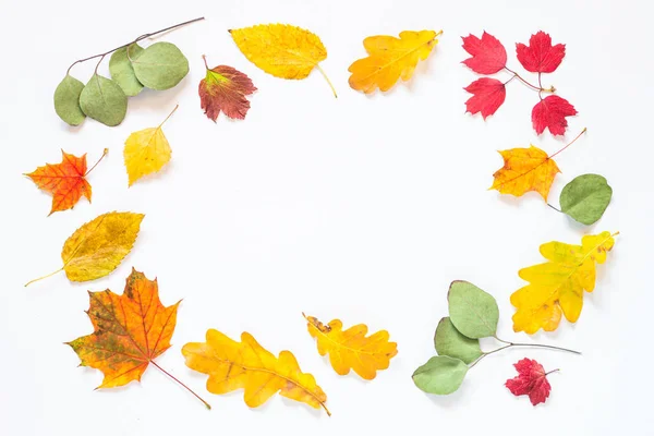 Fondo plano de otoño con hojas sobre blanco . — Foto de Stock