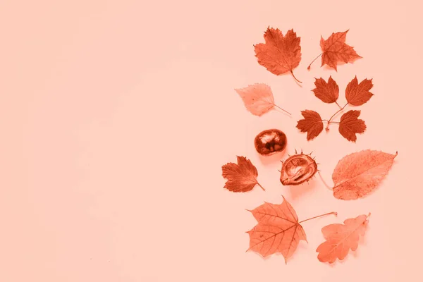 Herbst flach lag Hintergrund mit Blättern auf rosa. — Stockfoto