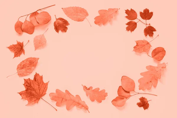 Herbst flach lag Hintergrund mit Blättern auf rosa. — Stockfoto