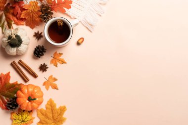 Sonbahar düz arka plan yatıyordu. Balkabakları, bir fincan sıcak çay, örgü eşarp ve arka planda düşmüş yapraklar..