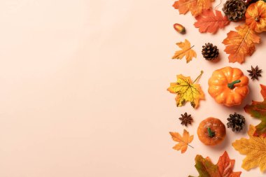 Sonbahar düz arka plan yatıyordu. Renkli arka planda balkabakları, baharatlar ve düşen yapraklar.