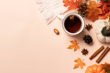 Sonbahar düz arka plan yatıyordu. Balkabakları, bir fincan sıcak çay, örgü eşarp ve arka planda düşmüş yapraklar..