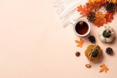 Sonbahar arkaplanı. Sıcak çay, örgü eşarp ve arka planda düşmüş yapraklar. Kopyalama alanı olan üst görünüm.