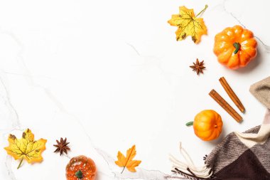 Sonbahar arkaplanı. Sarı yapraklar, balkabakları ve baharatlar. Metin için boşluk ile düz uzandı.