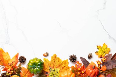 Sonbahar düz arka plan yatıyordu. Beyaz arka planda balkabakları, baharatlar ve düşen yapraklar.