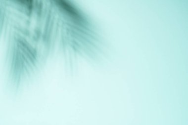 Mavi arka plan ve palmiye gölgeleri. Güneşli moda tasarımı. Ürün sunumu.