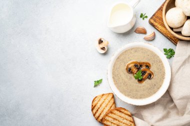 Beyaz arka planda mantar çorbası ve yemek malzemeleri. Kopyalama alanı olan üst görünüm.