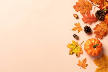 Şükran Günü geçmişi. Sarı arka planda balkabakları ve düşen yapraklar. Dizayn için alanı olan düz resim.