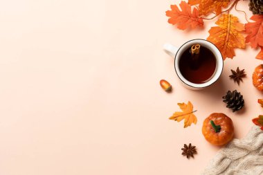 Samimi bir sonbahar manzarası vardı. Sıcak çay, örgü atkı ve arka planda düşmüş yapraklar..