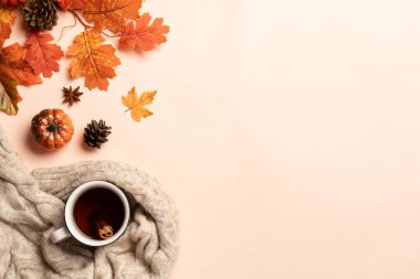 Samimi bir sonbahar manzarası vardı. Sıcak çay, örgü süveter ve arkaplanda portakal yaprakları..