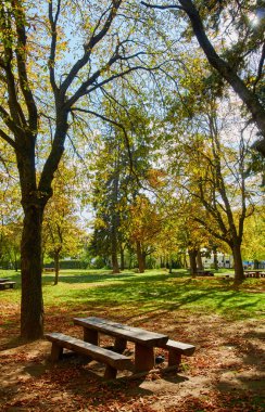 Parkta piknik masaları