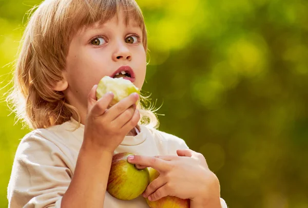Маленький мальчик кусает яблоко — стоковое фото
