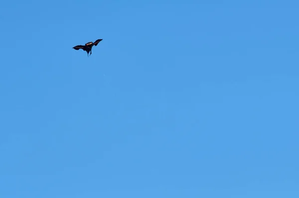 Kite in the sky — Stock Photo, Image