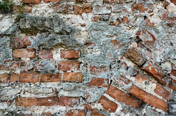 Old brick wall — Stock Photo, Image