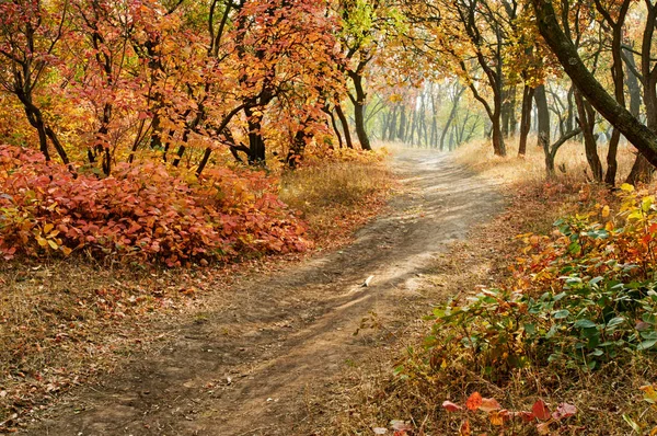 Herbstlandschaft Oktober — Stockfoto