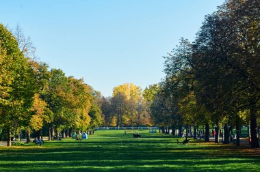 Central Park'ta rahatlayın