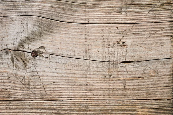 Wood plank grain texture — Stock Photo, Image