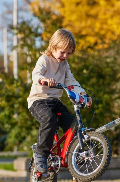 Petit garçon à vélo — Photo