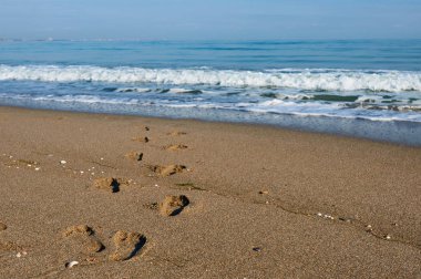 Kumda ayak izleri var. Karadeniz
