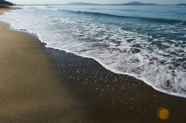 köpüklü dalga deniz kenarı