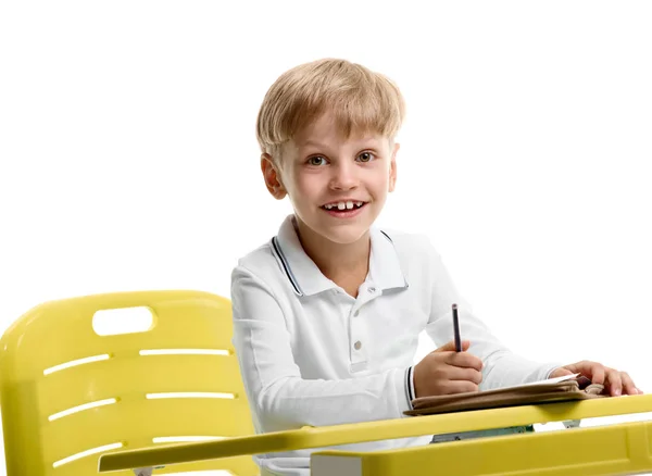 Smiling Schoolboy enjoying lesson — Stock Photo, Image