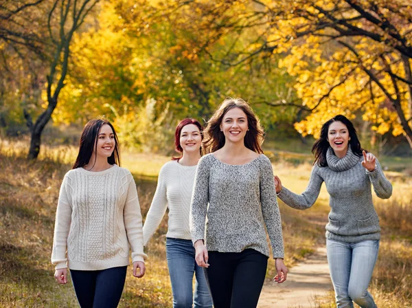 Paseo de otoño en el parque —  Fotos de Stock