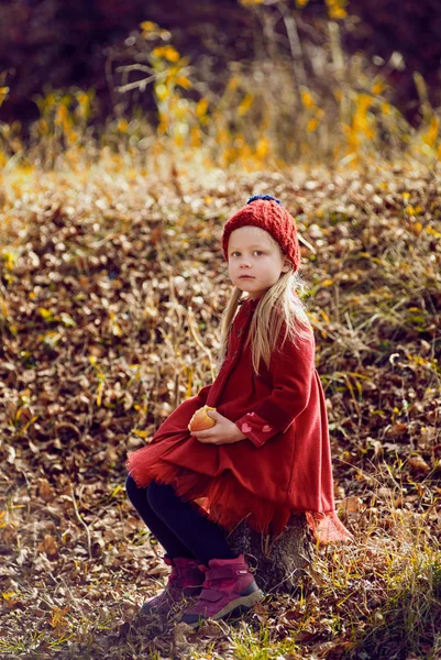 Дівчина в осінньому лісі — стокове фото
