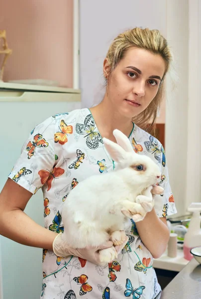 Veterinaria femenina con conejo —  Fotos de Stock