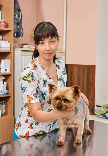 Mujer veterinario y perro —  Fotos de Stock