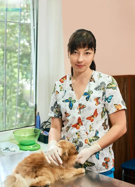 Mujer veterinario y perro —  Fotos de Stock