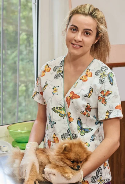 Portait Mujer veterinario y perro —  Fotos de Stock