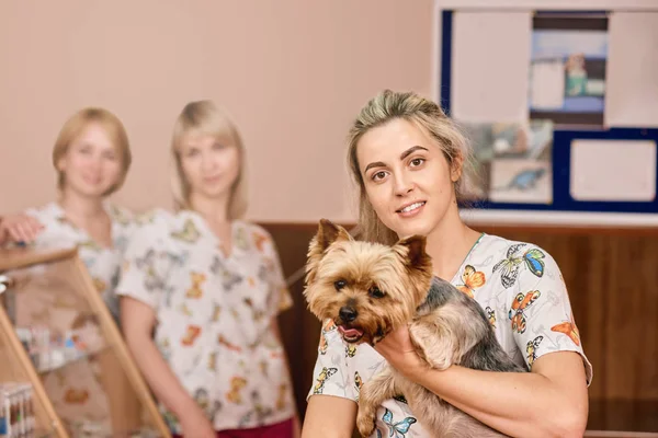 Pflegekonzept für Haustiere — Stockfoto