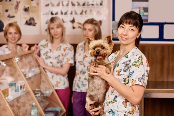 Veterinario mujer con un perro —  Fotos de Stock