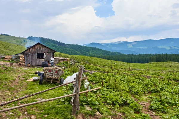Landelijk huishouden in Carpathians — Stockfoto